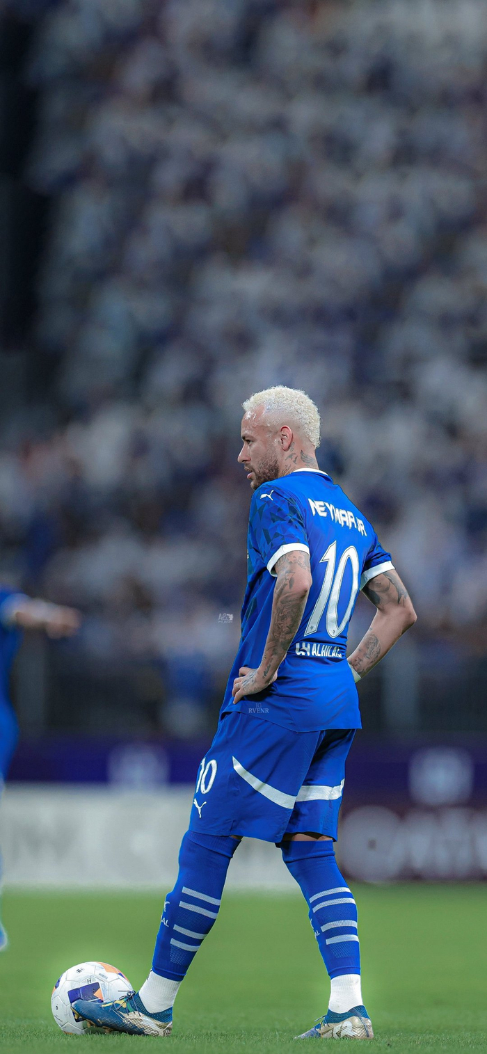 为他们畅游 为他们畅游