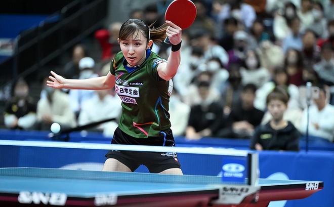 例如引入 例如引入