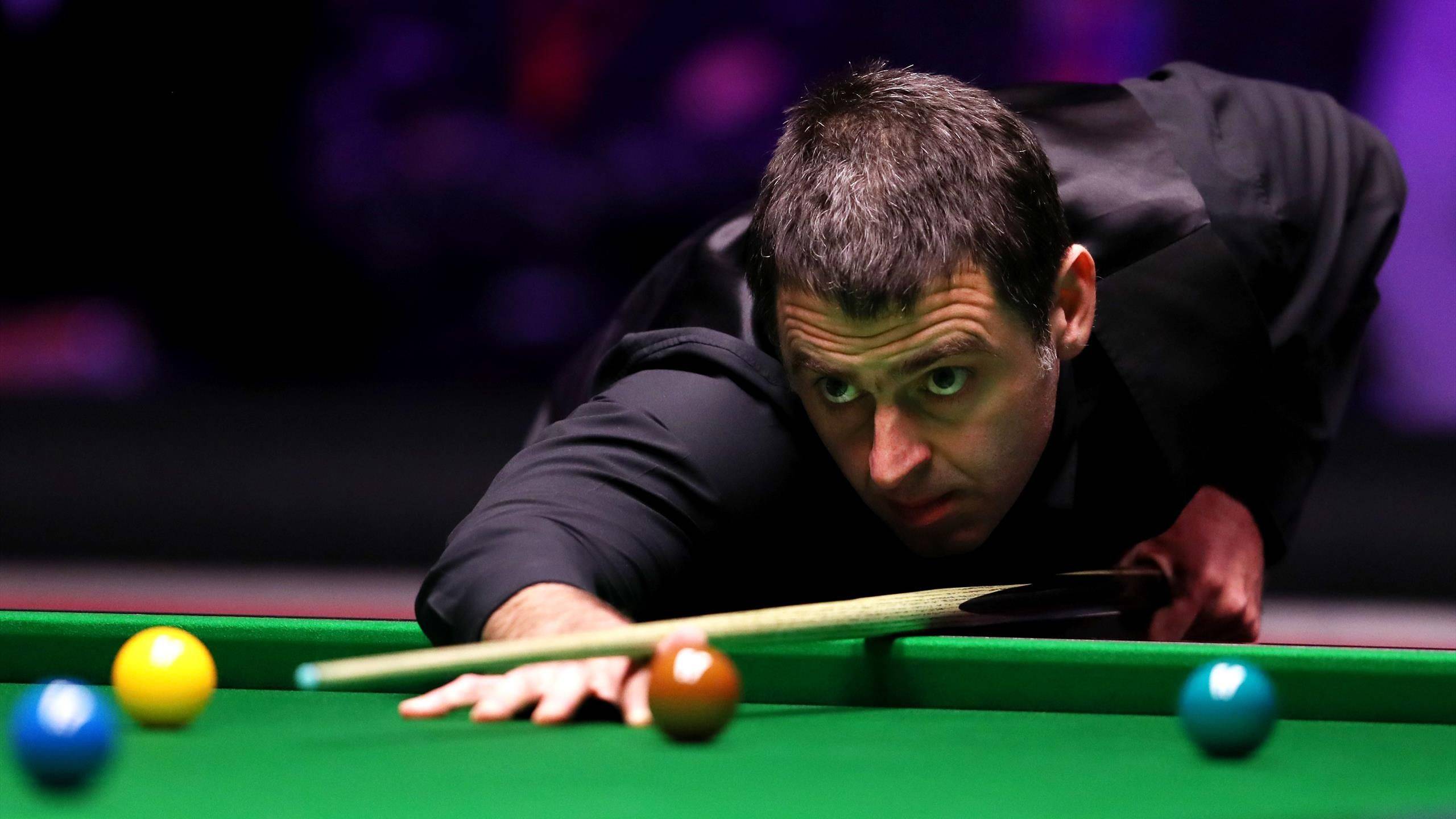 浙江队无疑 浙江队无疑